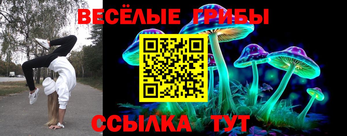 Псилоцибиновые грибы ЛСД  Галлюциногенные грибы GOLDEN TEACHER  Вход с VPN  Ишим 
